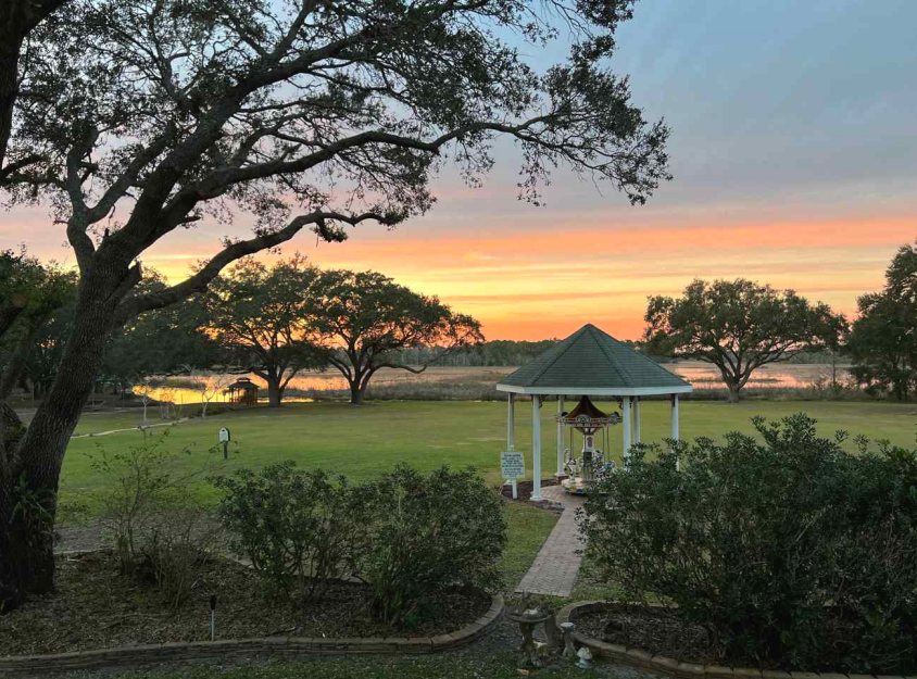 lush florida landscape and carousels