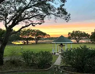 lush florida landscape and carousels