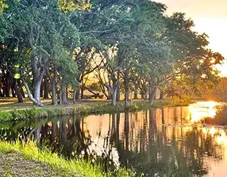 lush florida landscape and outdoor activities