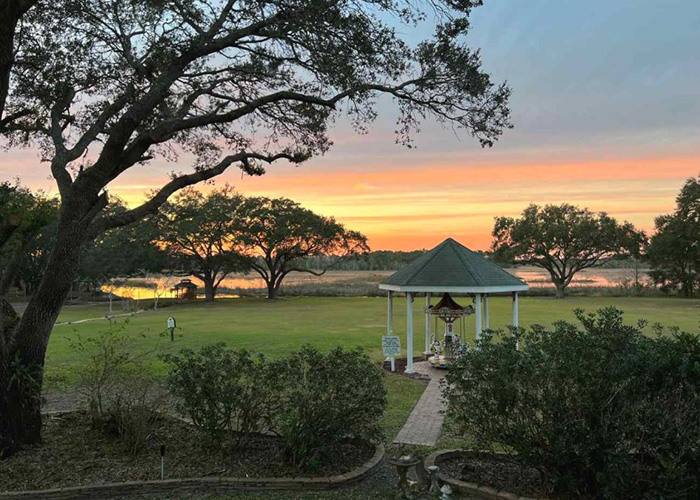 lush florida landscape and carousels